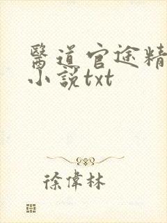 医道官途精校版小说txt