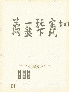 第一玩家txt网盘下载封面