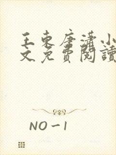 王东唐潇小说全文免费阅读