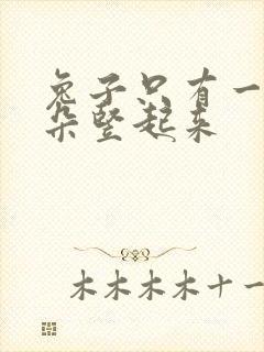 兔子只有一只耳朵竖起来封面