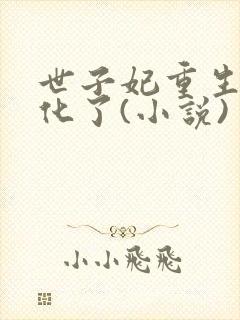 世子妃重生后黑化了(小说)