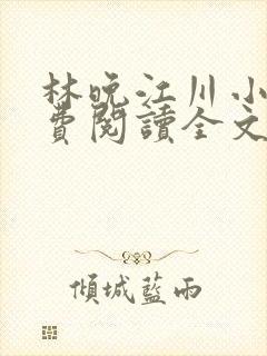 林晚江川小说免费阅读全文最新章节