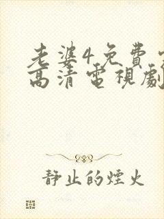 老婆4免费完整高清电视剧封面