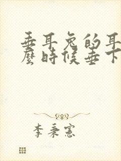 垂耳兔的耳朵什么时候垂下来