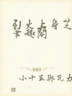 引火上身芝麻糖笔趣阁