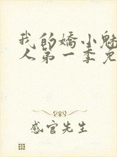 我的娇小魅魔仆人第一季免费观看