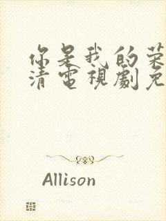 你是我的荣耀高清电视剧免费观看