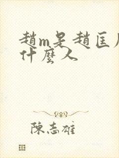 赵m是赵匡胤的什么人