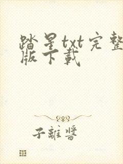 踏星txt完整版下载