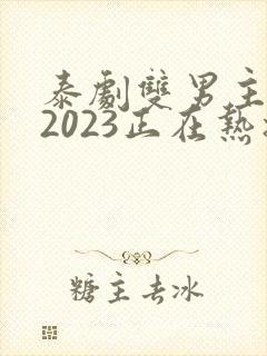 泰剧双男主推荐2023正在热播的剧