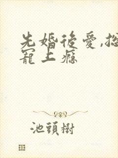 先婚后爱,总裁宠上瘾