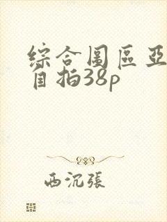 综合图区亚洲偷自拍38p