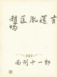 赵匡胤还有后代吗