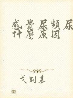 感觉尿频尿少是什么原因