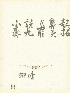 小说《枭起青壤聂九罗炎拓》