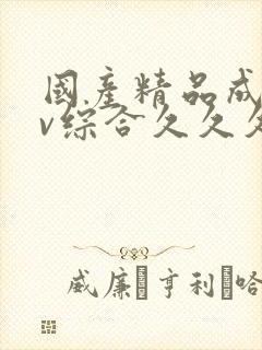 国产精品成人av综合久久久久久