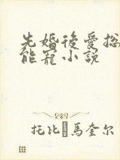 先婚后爱总裁太能宠小说