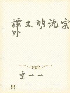 谭又明沈宗年番外