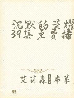 沉默的荣耀1—39集免费播放