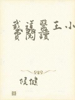 武道医王小说免费阅读