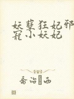 妖孽狂妃邪君溺宠小妖妃