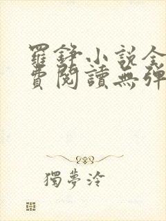 罗铮小说全文免费阅读无弹窗