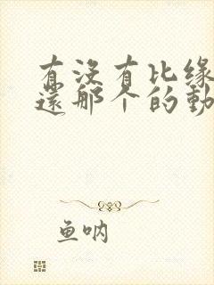 有没有比缘之空还那个的动漫