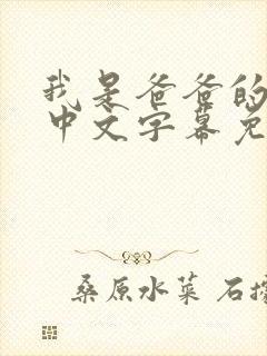 我是爸爸的女人中文字幕免费观看电视剧