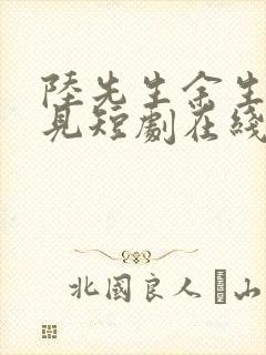 陆先生余生不再见短剧在线观看封面