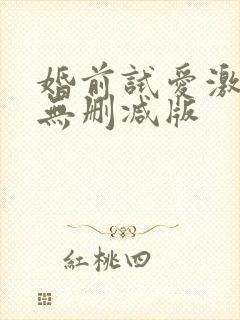 婚前试爱激情戏无删减版