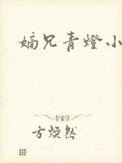 嫡兄青灯小说封面