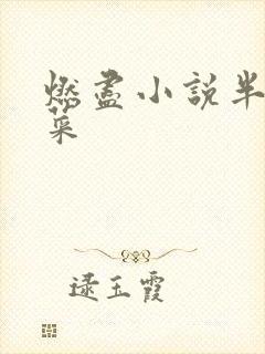 燃尽小说半截白菜