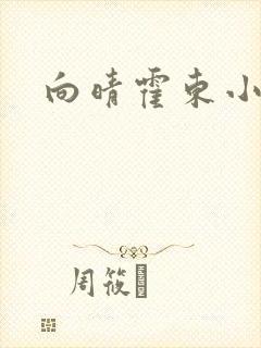 向晴霍东小说
