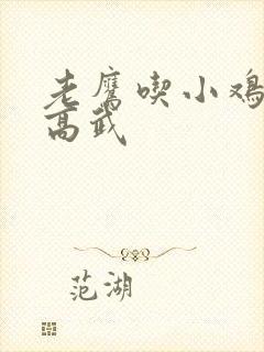 老鹰吃小鸡全球高武封面