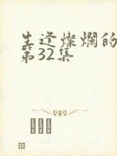 生逢灿烂的日子第32集