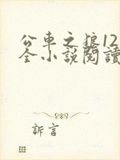 公车之狼12集全小说阅读封面