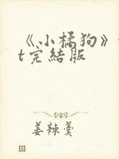 《小橘狗》txt完结版封面