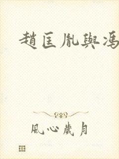 赵匡胤与冯道封面