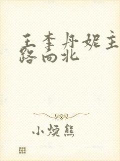 王李丹妮主演一路向北