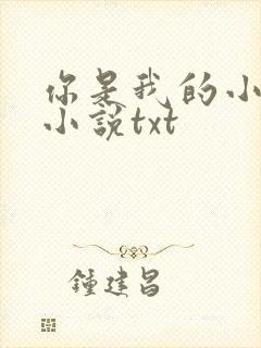 你是我的小确幸小说txt