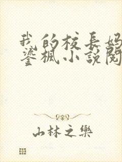 我的校长妈妈夏鎏枫小说阅读