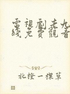 电视剧老九门在线免费观看