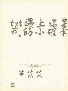 txt遇上你是我的小确幸