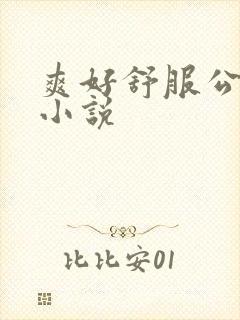 爽好舒服公交车小说