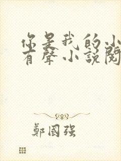 你是我的小确幸有声小说阅读