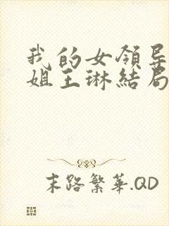 我的女领导们陈姐王琳结局