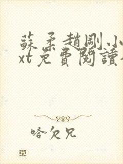 苏柔赵刚小说txt免费阅读全文