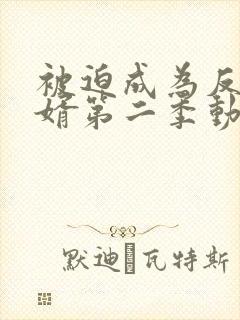 被迫成为反派赘婿第二季动态漫画免费观看