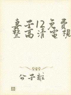 妻子12免费完整高清电视剧在线观看