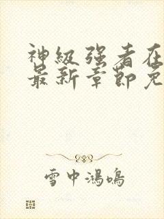 神级强者在都市最新章节免费阅读